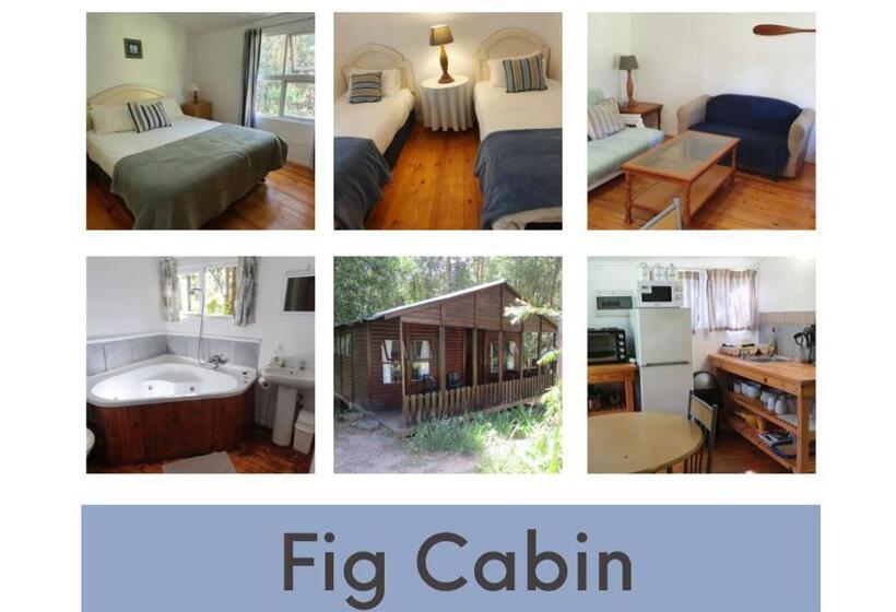 הוסטל Plett Forest Cabins