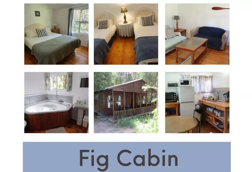 هاستل Plett Forest Cabins