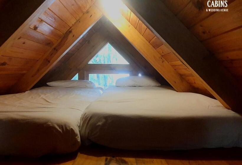 הוסטל Plett Forest Cabins