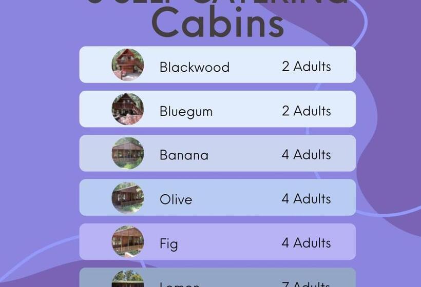 הוסטל Plett Forest Cabins