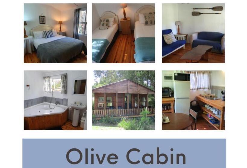 הוסטל Plett Forest Cabins