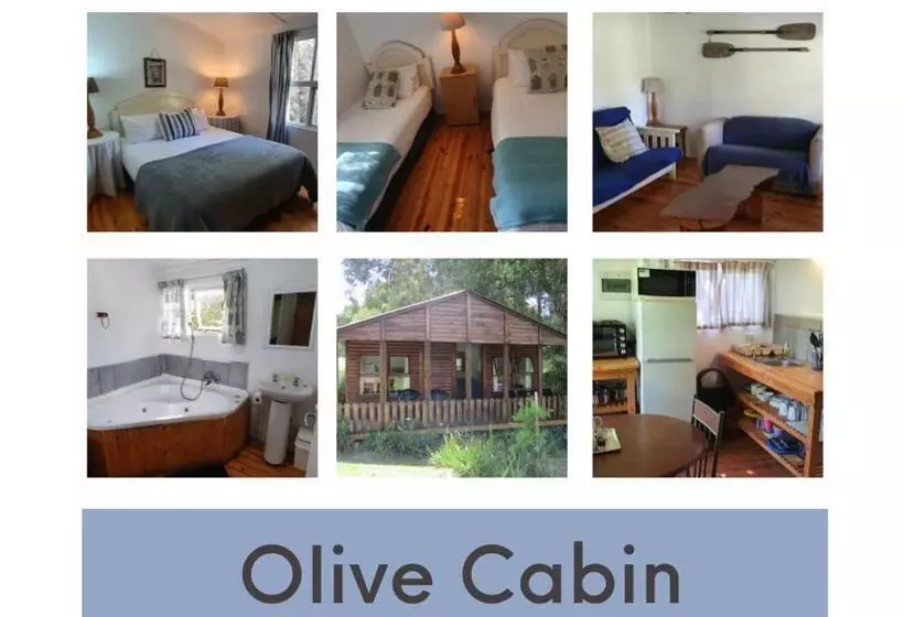 هاستل Plett Forest Cabins