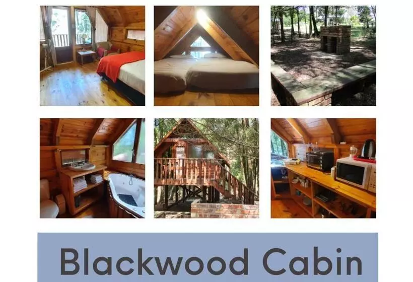 هاستل Plett Forest Cabins