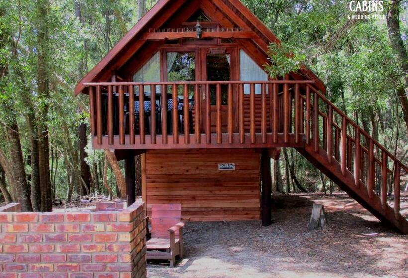 הוסטל Plett Forest Cabins