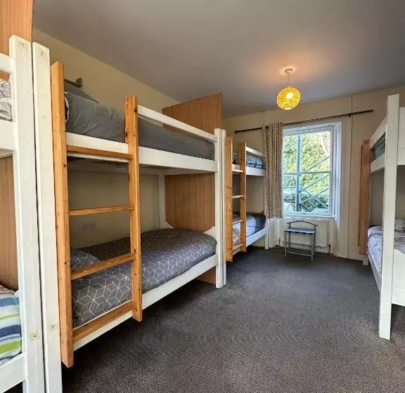 The Grapevine Hostel