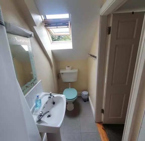 The Grapevine Hostel