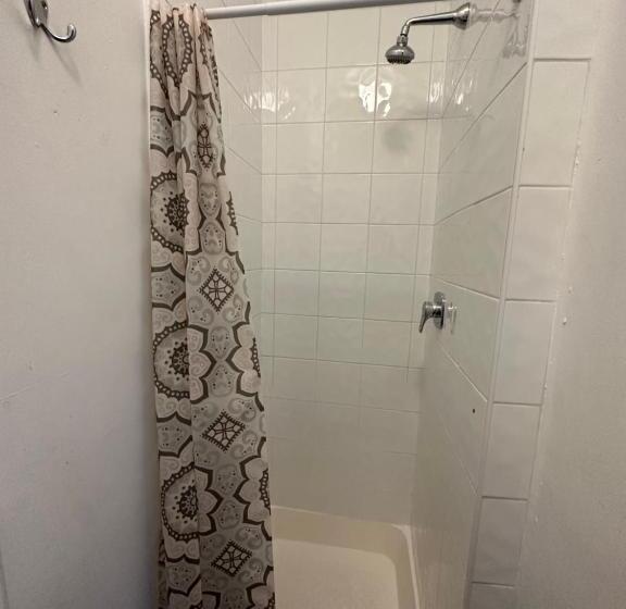 The Grapevine Hostel