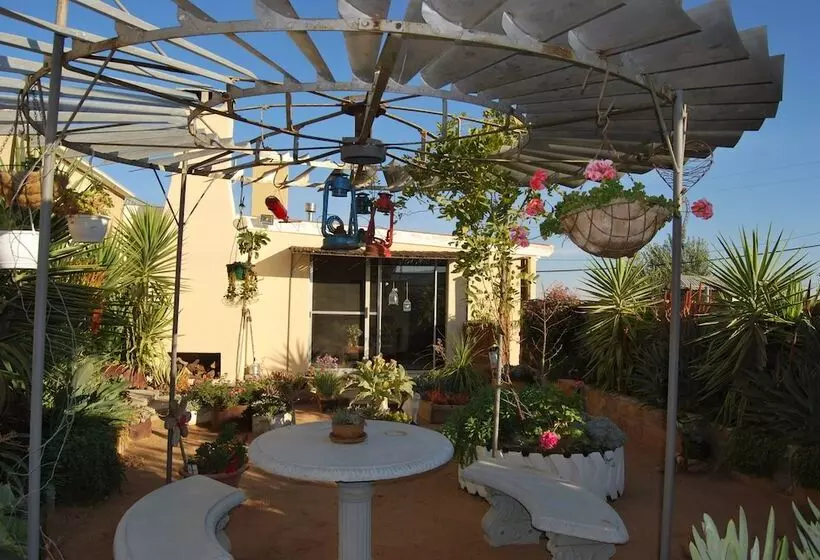 ホテル Platbakkies Farm Retreat
