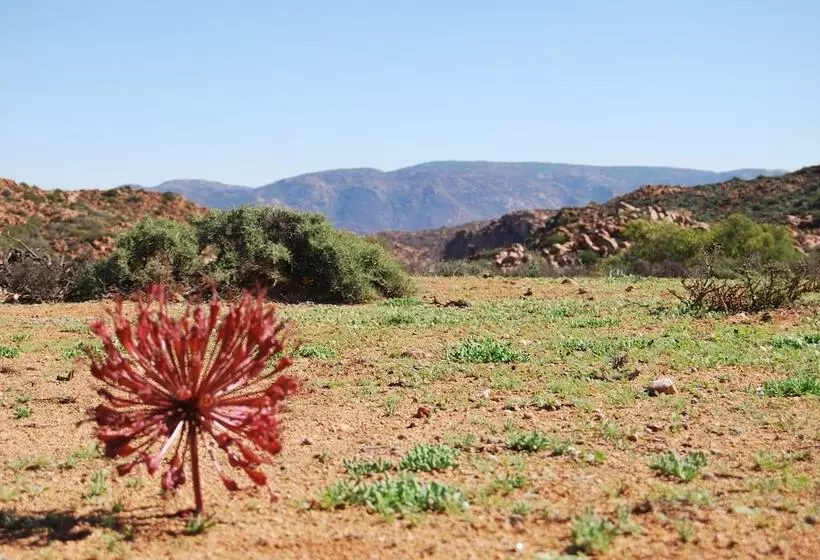 ホテル Platbakkies Farm Retreat
