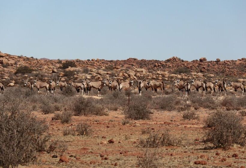 ホテル Platbakkies Farm Retreat