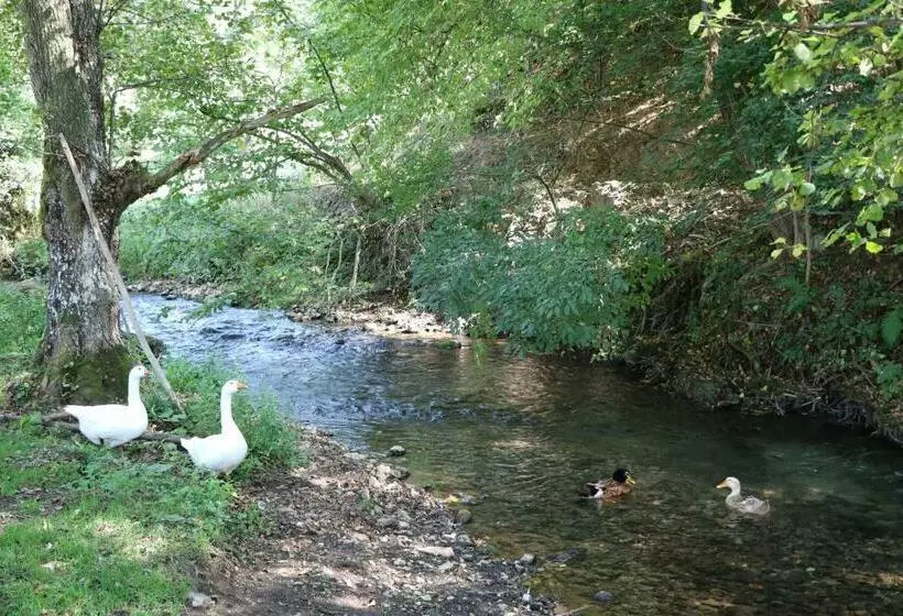 پانسیون Eco Camp Dzogaska Vrela