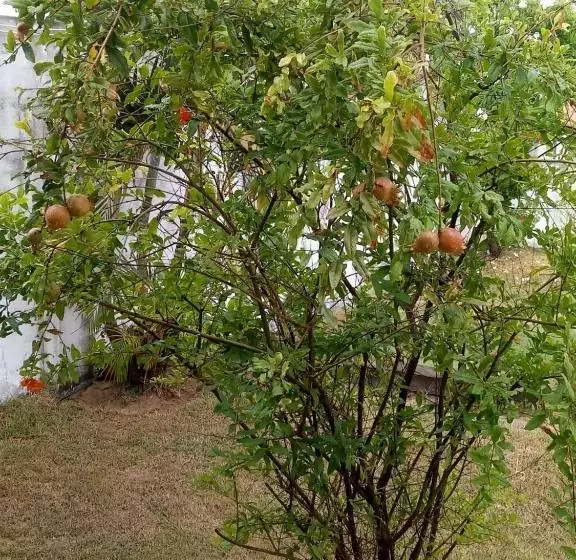 Majatalo Pousada Cruzeiro Dos Anjos