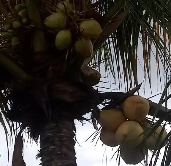 Majatalo Pousada Cruzeiro Dos Anjos