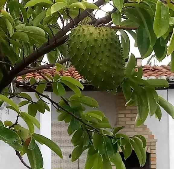 Majatalo Pousada Cruzeiro Dos Anjos