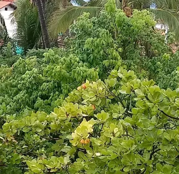 Majatalo Pousada Cruzeiro Dos Anjos