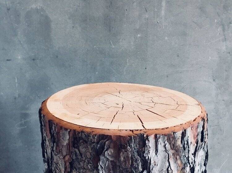 هتل Hôtel 16 | 150 Montagne & Spa Nuxe