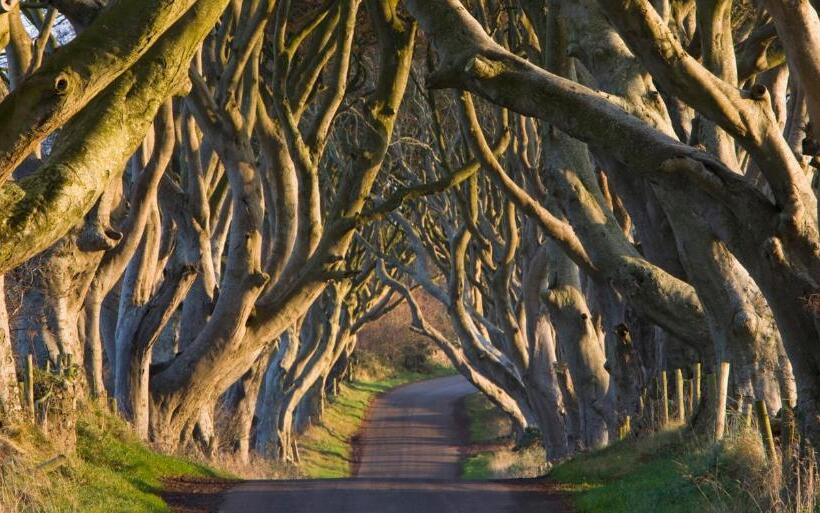 بنسيون Causeway Bay Guesthouse Portrush