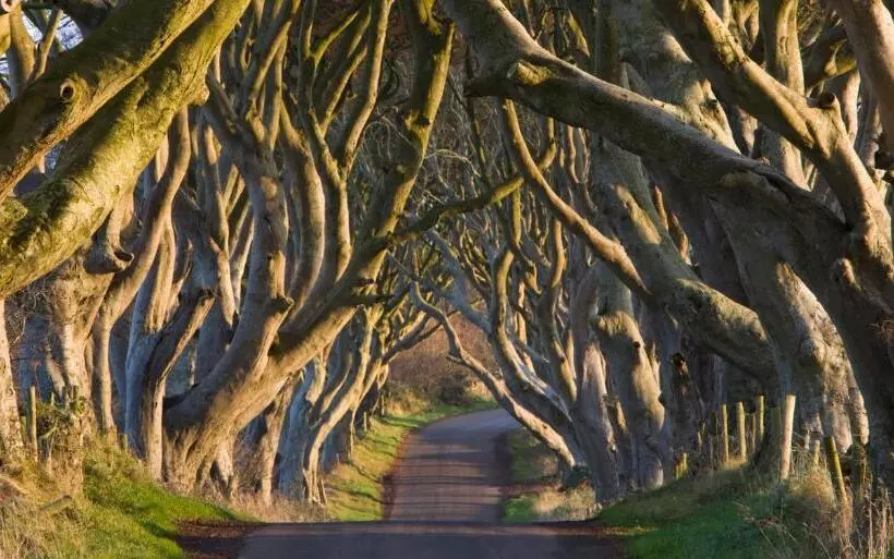 Majatalo Causeway Bay Guesthouse Portrush