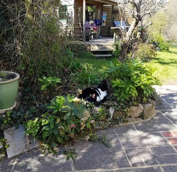 Pension (Hôtel basse catégorie) Norwegian Wood