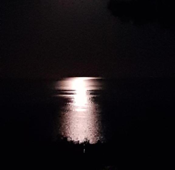 Pension (Hôtel basse catégorie) Norwegian Wood