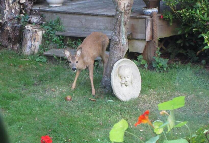 Pension (Hôtel basse catégorie) Norwegian Wood