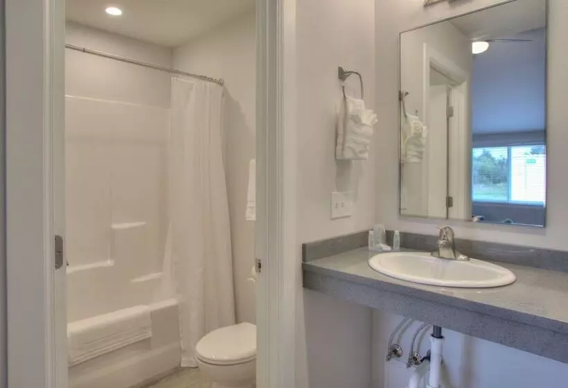 モーテル Ocean Shores Resort   Brand New Rooms