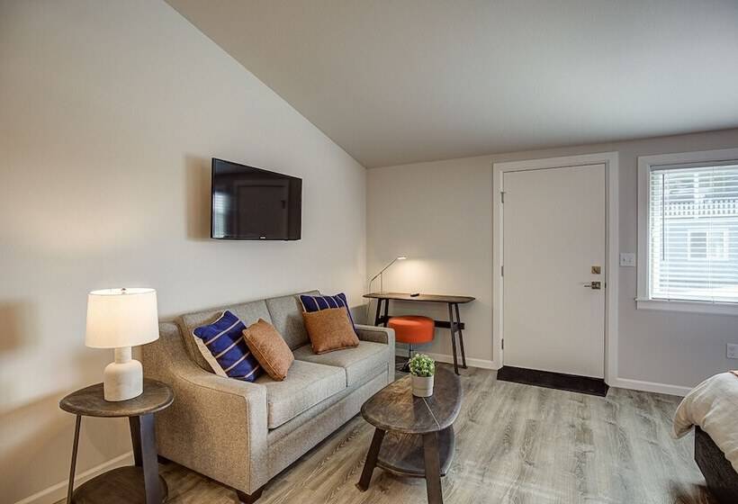 فندق على الطريق Ocean Shores Resort   Brand New Rooms