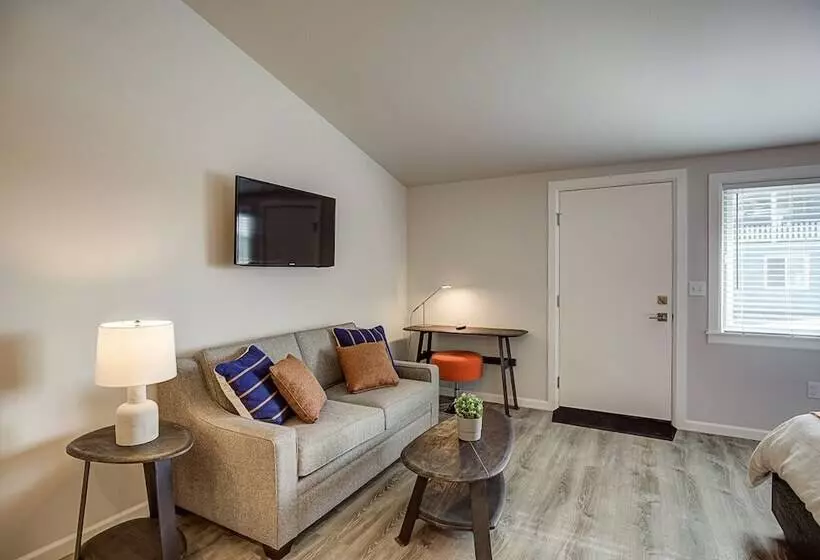 モーテル Ocean Shores Resort   Brand New Rooms