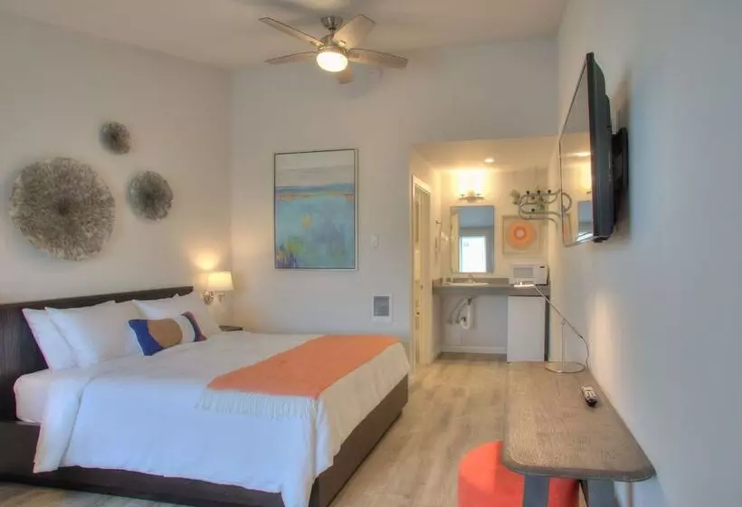 モーテル Ocean Shores Resort   Brand New Rooms