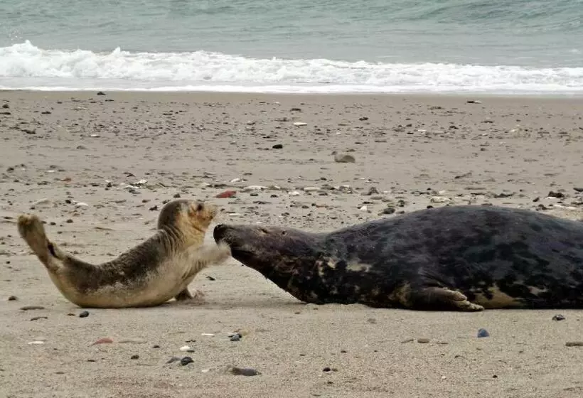 Отель Atoll Helgoland