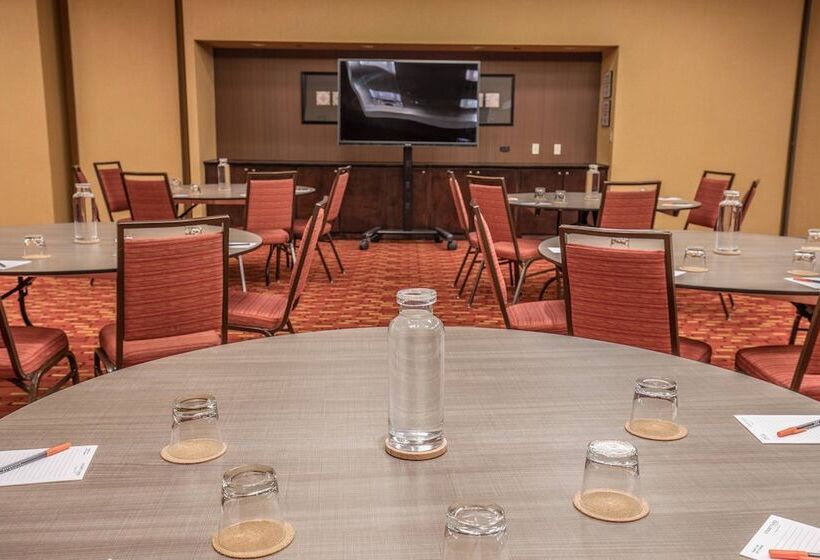 فندق Courtyard Chicago Downtown/magnificent Mile