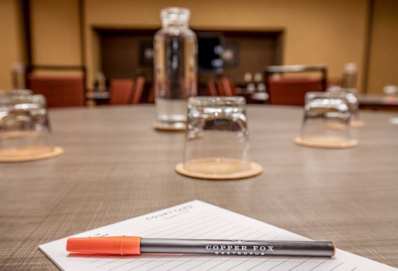 فندق Courtyard Chicago Downtown/magnificent Mile