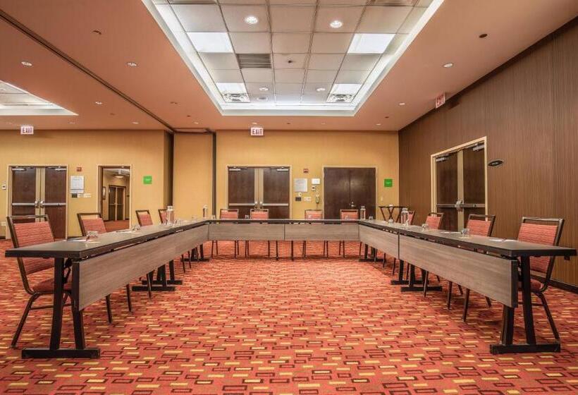 فندق Courtyard Chicago Downtown/magnificent Mile