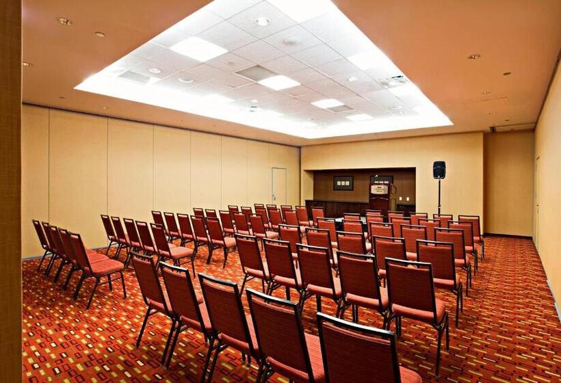 فندق Courtyard Chicago Downtown/magnificent Mile