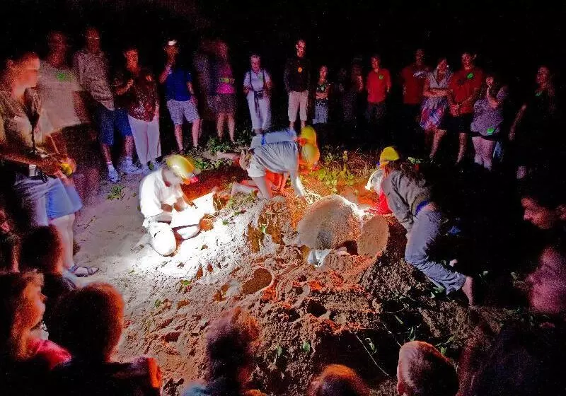 Отель Kellys Beach Resort