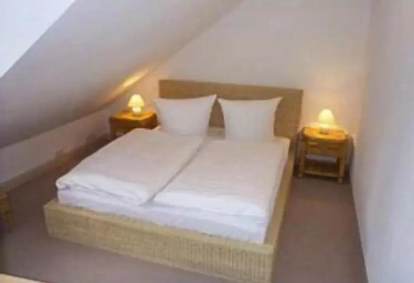 Hotelli Sächsischer Hof