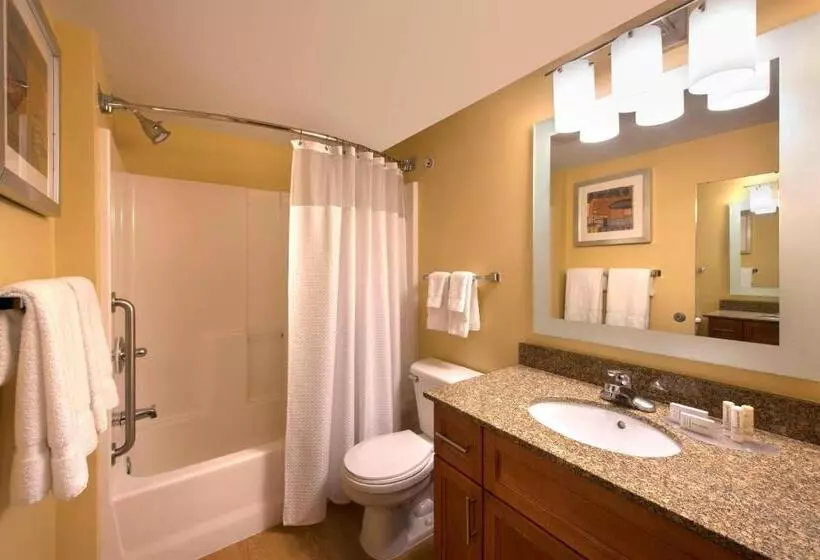 Hotel Towneplace Suites Denver Tech Center