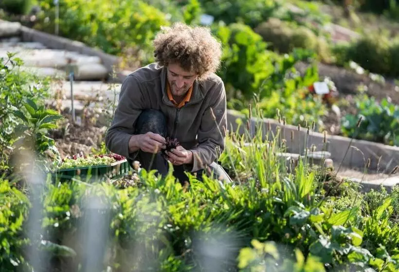 Kräuterhotel Edelweiss