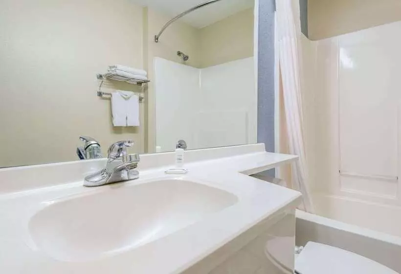 Microtel Inn & Suites By Wyndham Kansas City Airport