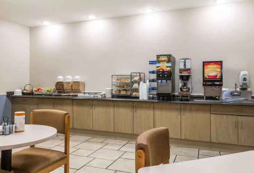 Microtel Inn & Suites By Wyndham Kansas City Airport