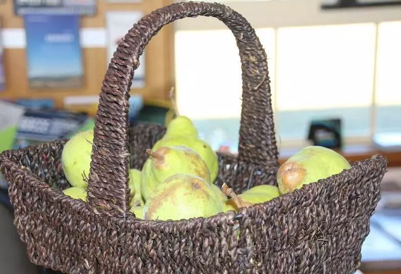 酒店 Swansea Cottages & Lodge Suites