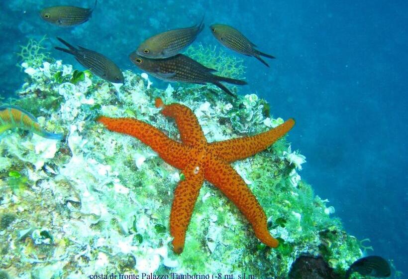 Grand Hotel Mediterraneo