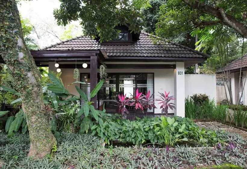 Отель Eurasia Chiang Mai