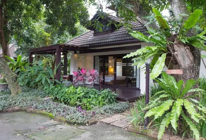 Отель Eurasia Chiang Mai