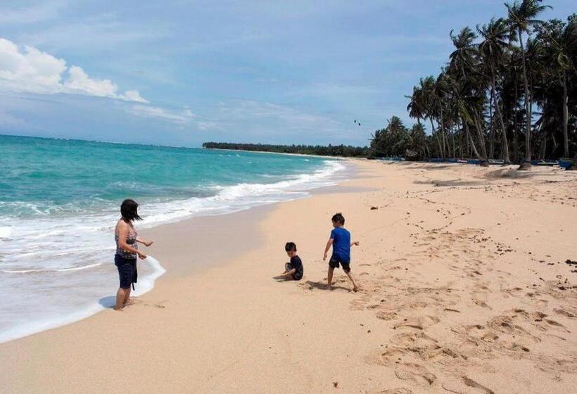 ホテル Palm Grove Saud Holiday Complex