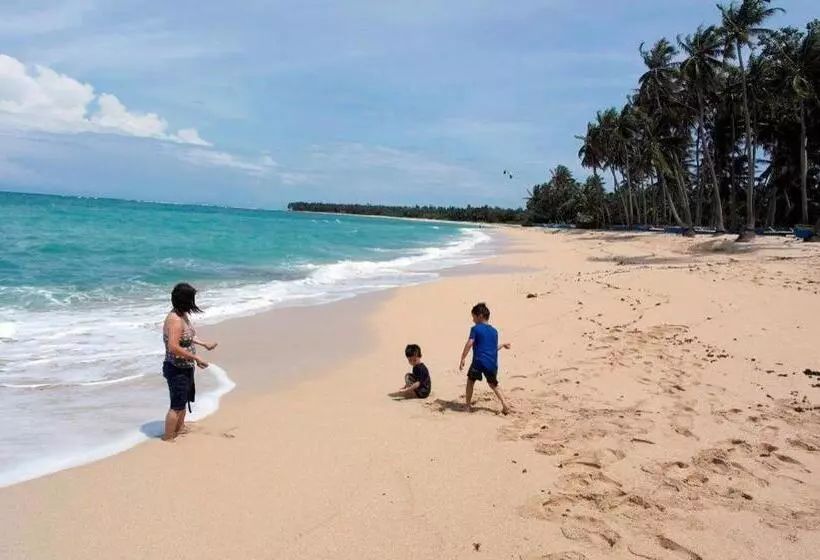 ホテル Palm Grove Saud Holiday Complex