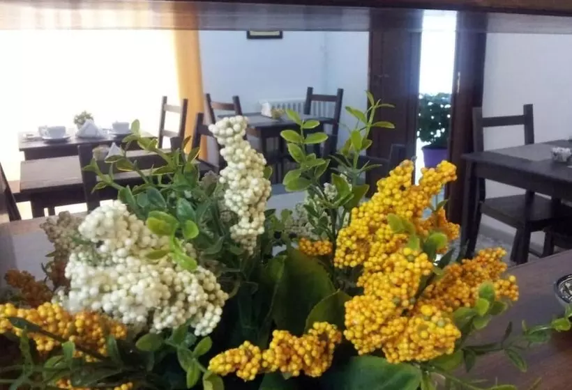 تختخواب و صبحانه Domus Enna