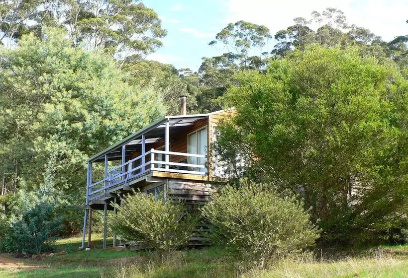 ホテル Bombina Cottages