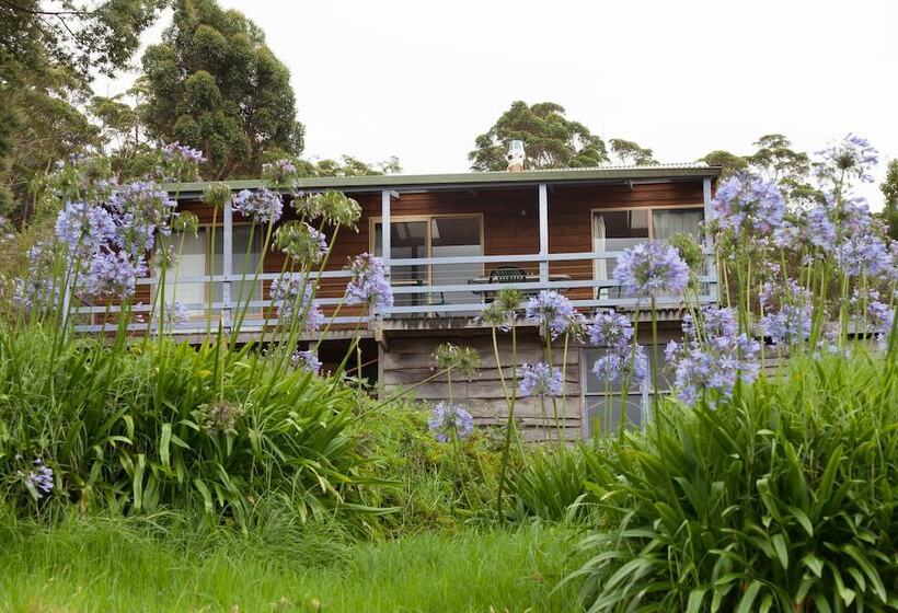 호텔 Bombina Cottages