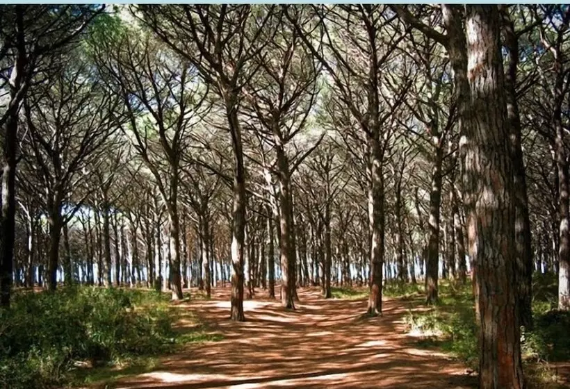 ホテル Vada Village